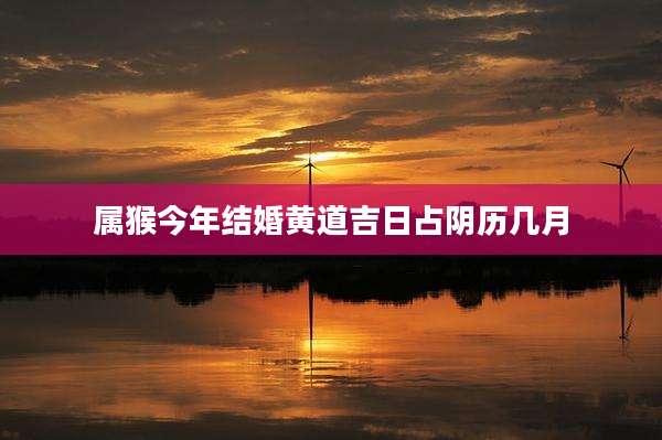 属猴今年结婚黄道吉日占阴历几月