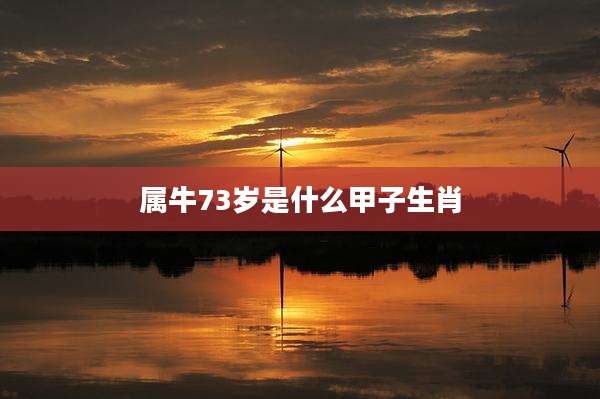 属牛73岁是什么甲子生肖