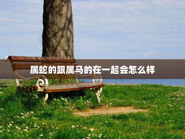 属蛇的跟属马的在一起会怎么样