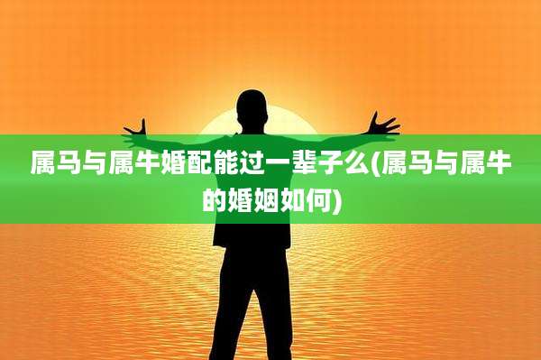 属马与属牛婚配能过一辈子么(属马与属牛的婚姻如何)