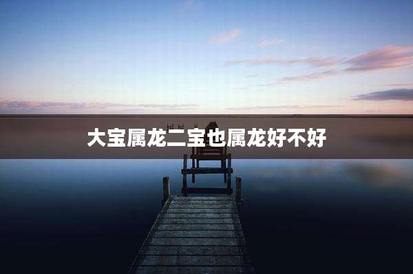 大宝属龙二宝也属龙好不好