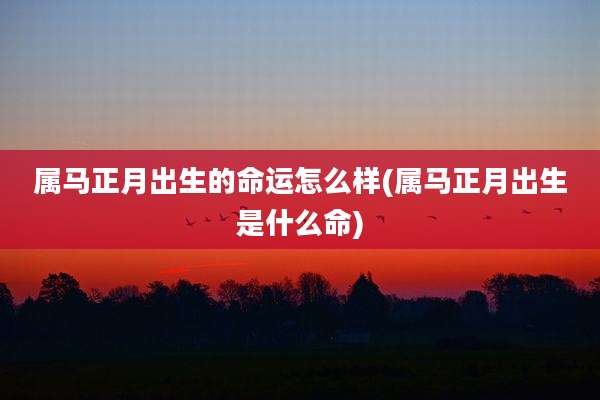 属马正月出生的命运怎么样(属马正月出生是什么命)