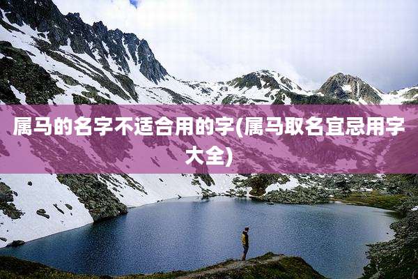 属马的名字不适合用的字(属马取名宜忌用字大全)