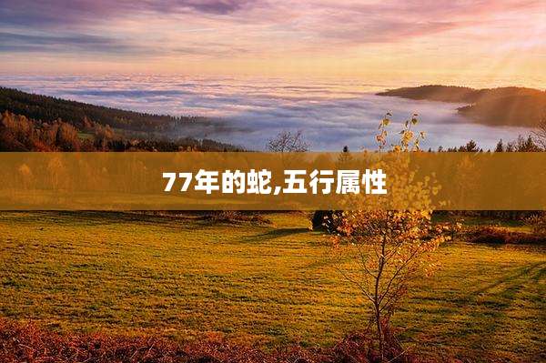 77年的蛇,五行属性