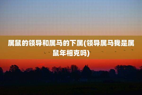 属鼠的领导和属马的下属(领导属马我是属鼠年相克吗)