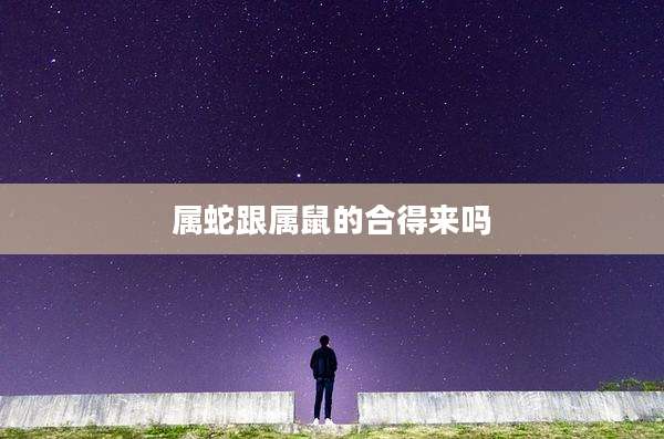 属蛇跟属鼠的合得来吗