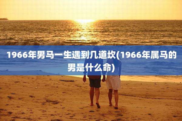1966年男马一生遇到几道坎(1966年属马的男是什么命)