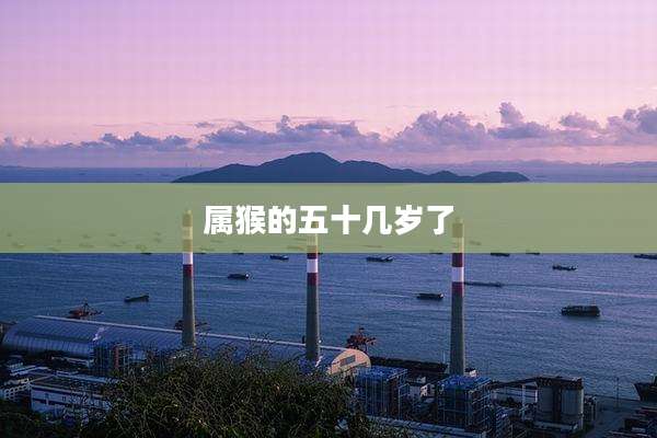 属猴的五十几岁了