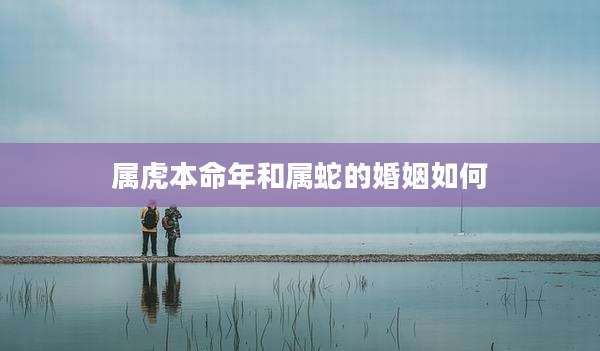 属虎本命年和属蛇的婚姻如何