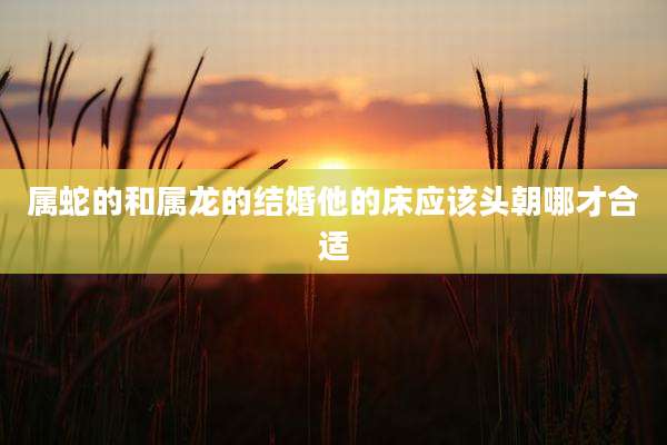 属蛇的和属龙的结婚他的床应该头朝哪才合适