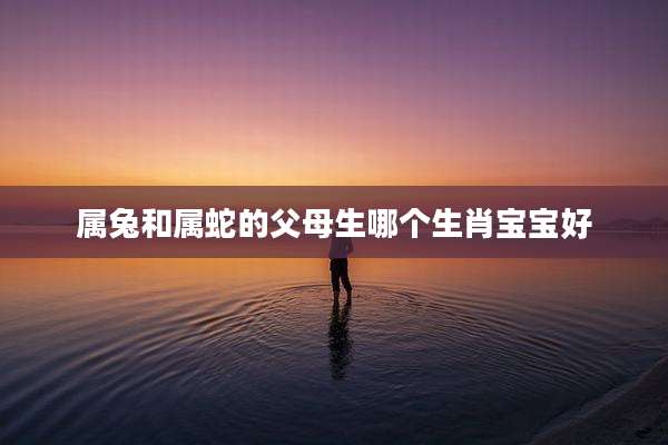 属兔和属蛇的父母生哪个生肖宝宝好