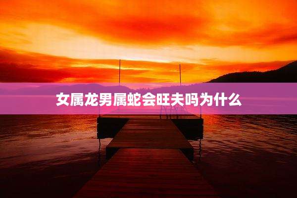 女属龙男属蛇会旺夫吗为什么