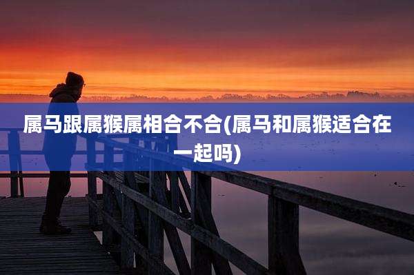 属马跟属猴属相合不合(属马和属猴适合在一起吗)