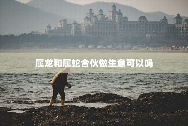 属龙和属蛇合伙做生意可以吗