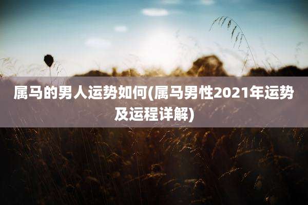 属马的男人运势如何(属马男性2021年运势及运程详解)