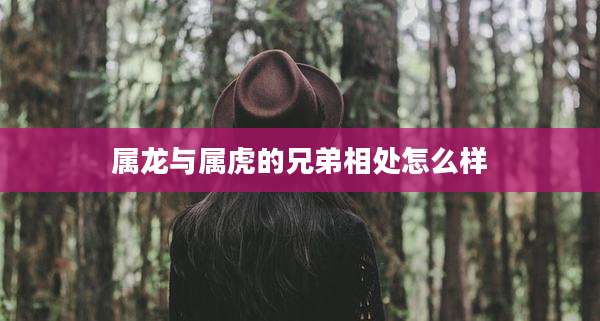 属龙与属虎的兄弟相处怎么样