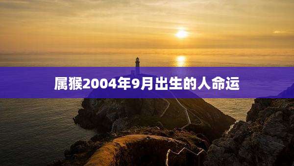 属猴2004年9月出生的人命运