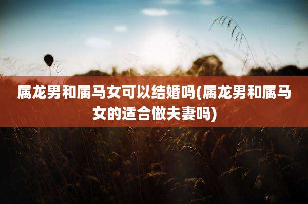 属龙男和属马女可以结婚吗(属龙男和属马女的适合做夫妻吗)