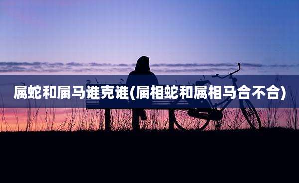属蛇和属马谁克谁(属相蛇和属相马合不合)