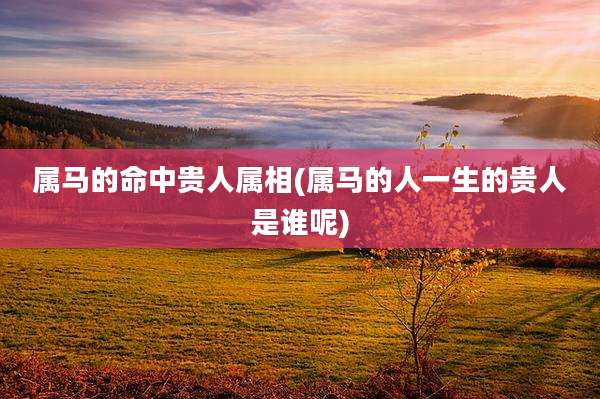 属马的命中贵人属相(属马的人一生的贵人是谁呢)