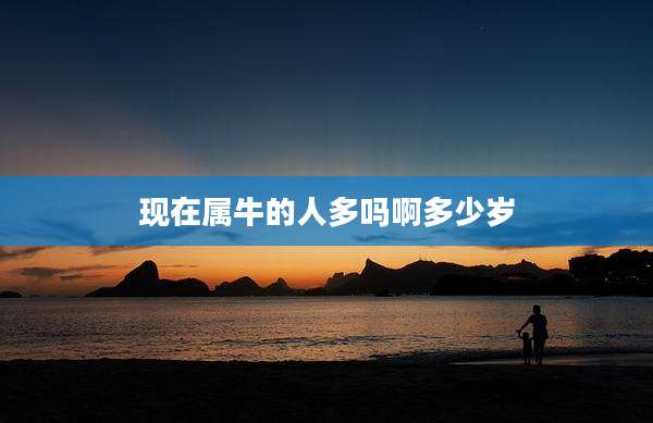 现在属牛的人多吗啊多少岁