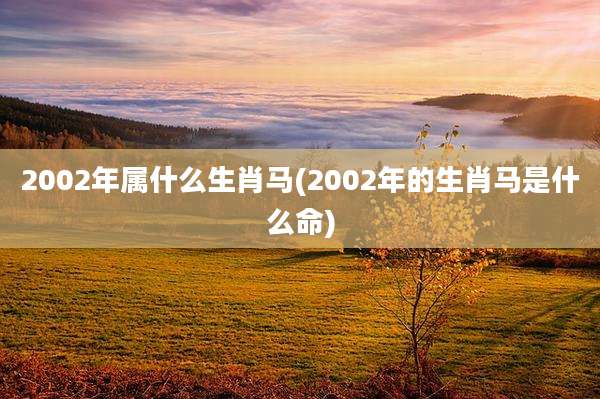 2002年属什么生肖马(2002年的生肖马是什么命)