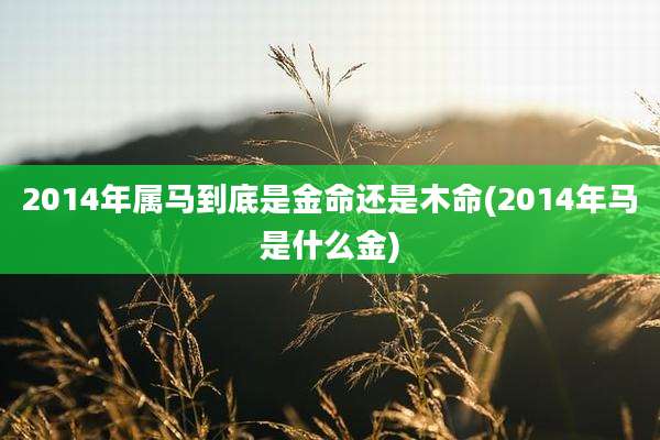 2014年属马到底是金命还是木命(2014年马是什么金)