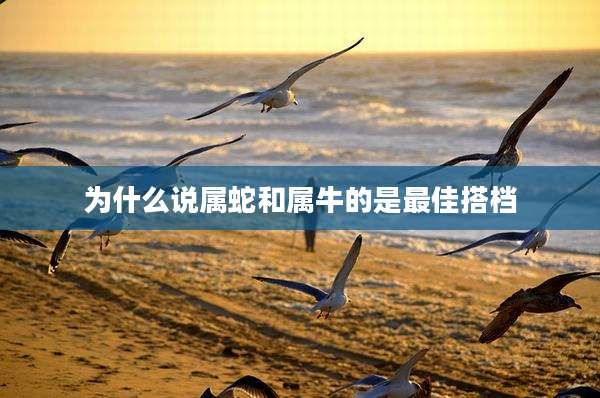 为什么说属蛇和属牛的是最佳搭档