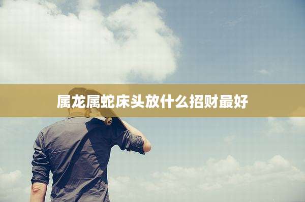 属龙属蛇床头放什么招财最好