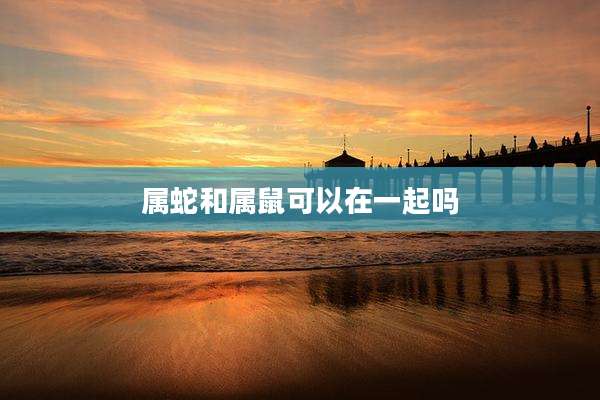 属蛇和属鼠可以在一起吗