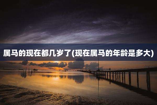 属马的现在都几岁了(现在属马的年龄是多大)