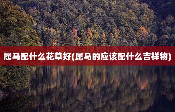 属马配什么花草好(属马的应该配什么吉祥物)