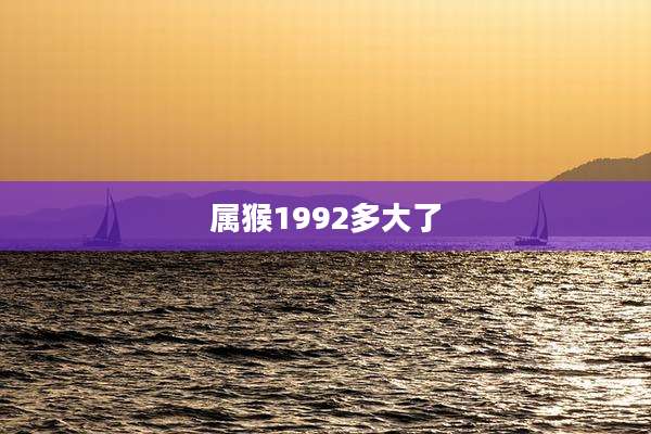 属猴1992多大了