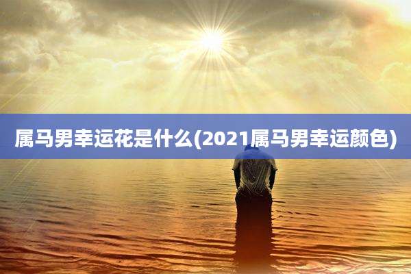 属马男幸运花是什么(2021属马男幸运颜色)