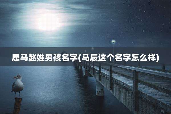 属马赵姓男孩名字(马辰这个名字怎么样)