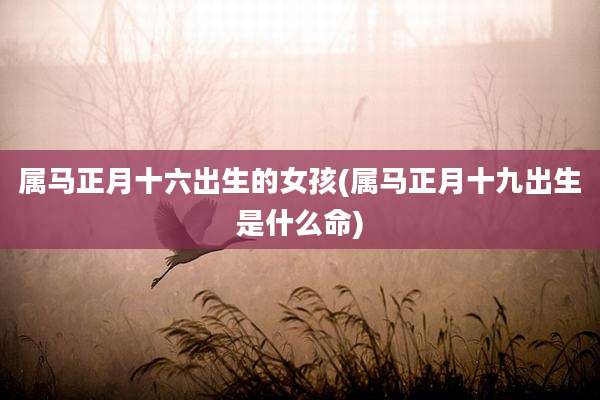 属马正月十六出生的女孩(属马正月十九出生是什么命)
