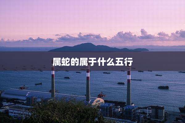 属蛇的属于什么五行