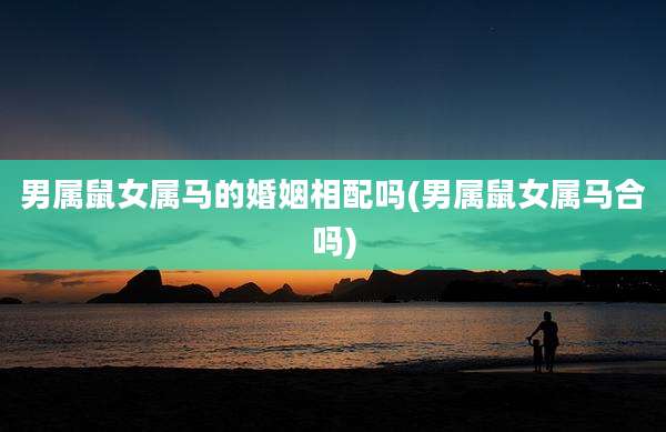 男属鼠女属马的婚姻相配吗(男属鼠女属马合吗)