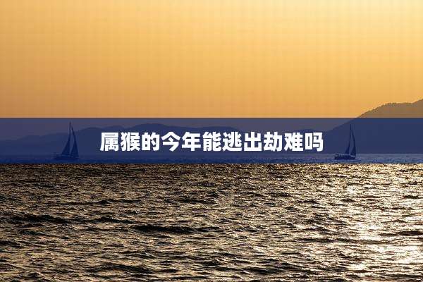 属猴的今年能逃出劫难吗