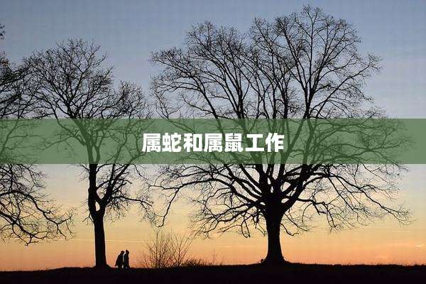 属蛇和属鼠工作