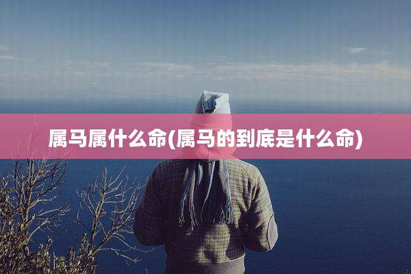属马属什么命(属马的到底是什么命)