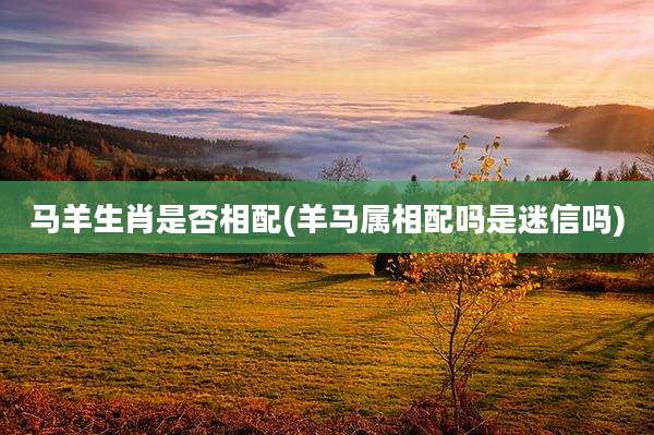 马羊生肖是否相配(羊马属相配吗是迷信吗)