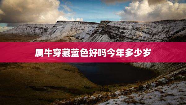 属牛穿藏蓝色好吗今年多少岁