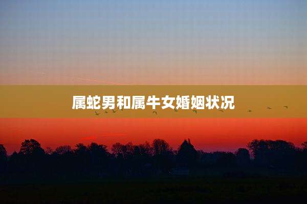 属蛇男和属牛女婚姻状况