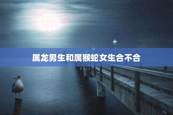 属龙男生和属猴蛇女生合不合