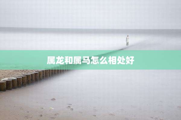 属龙和属马怎么相处好