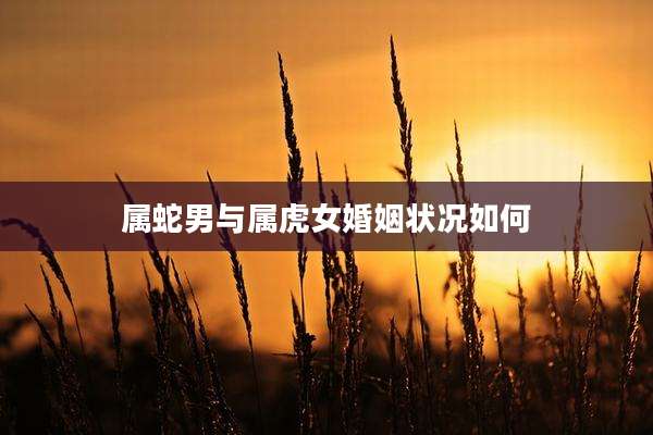 属蛇男与属虎女婚姻状况如何