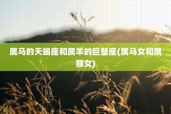 属马的天蝎座和属羊的巨蟹座(属马女和属猴女)