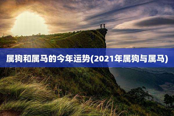 属狗和属马的今年运势(2021年属狗与属马)