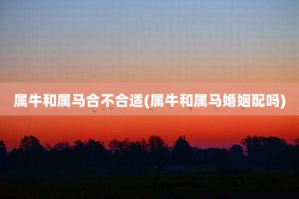 属牛和属马合不合适(属牛和属马婚姻配吗)